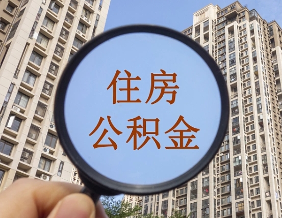 凉山退休后查不到公积金明细了吗（退休后公积金查询不到原因）
